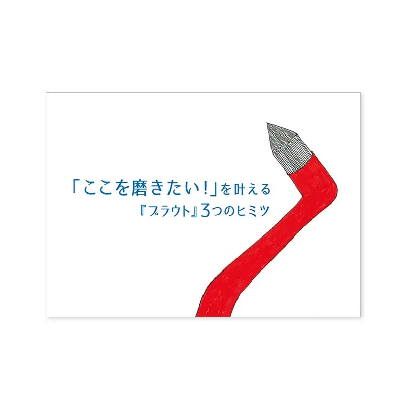 『プラウト』患者提案用パンフレット